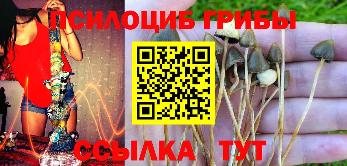Галлюциногенные грибы MAGIC MUSHROOMS  Вход с VPN  Псилоцибиновые грибы ЛСД  Якутск 